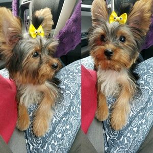 Meet your Posher, Fernanda